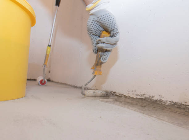 Best Fumigation Services  in Agua Dulce, TX